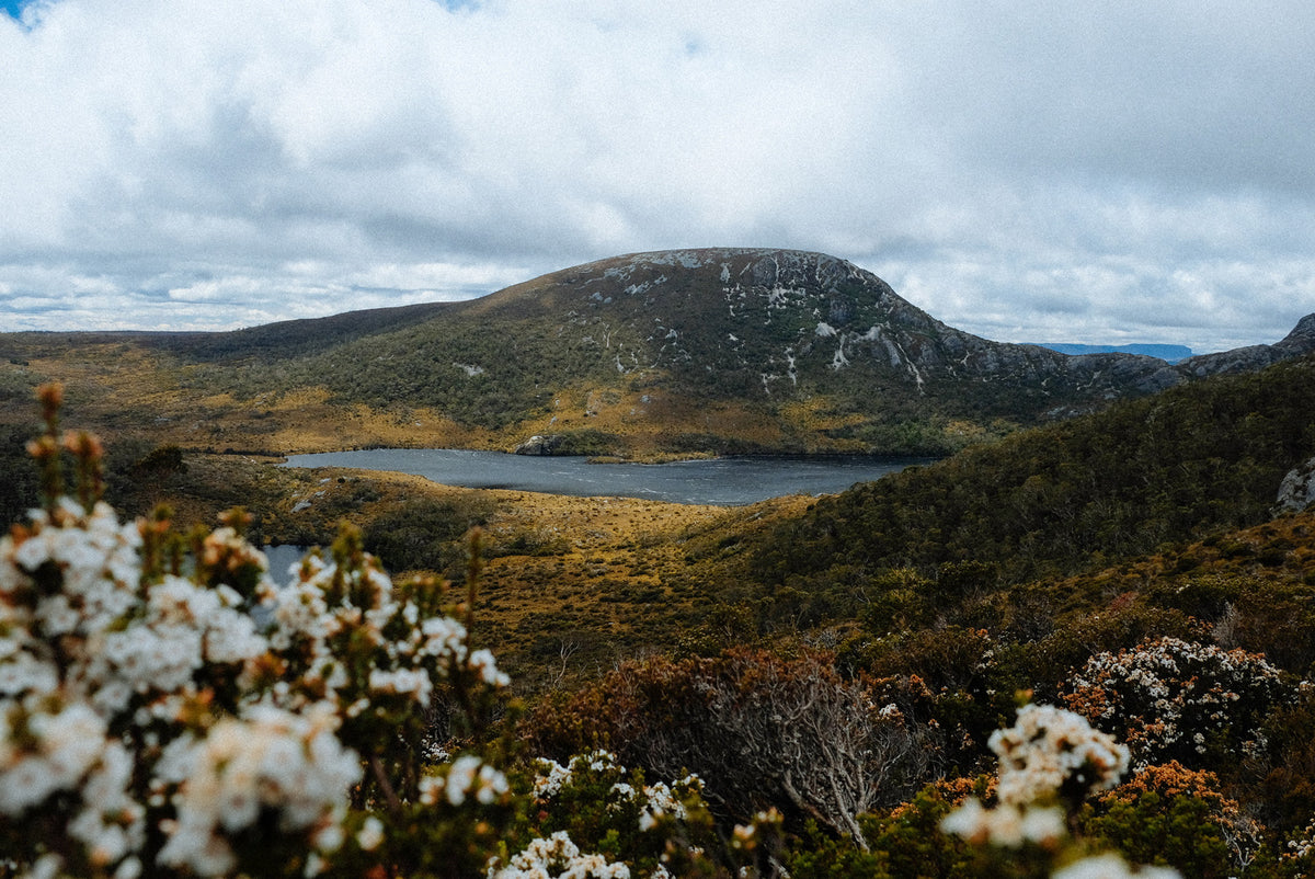 TASMANIAN TRAVELS