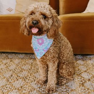 Lovers Beach Dog Bandana - Medium